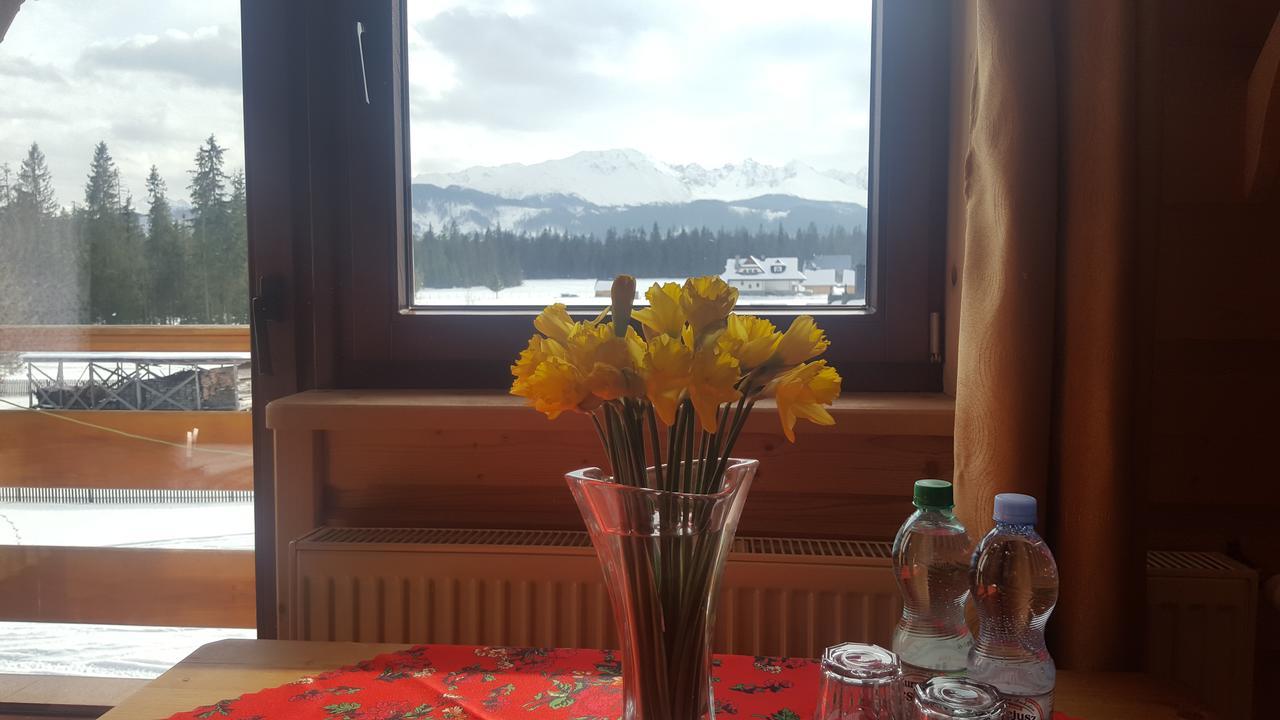 ムジャシフレ Lesne Zacisze Bed & Breakfast エクステリア 写真