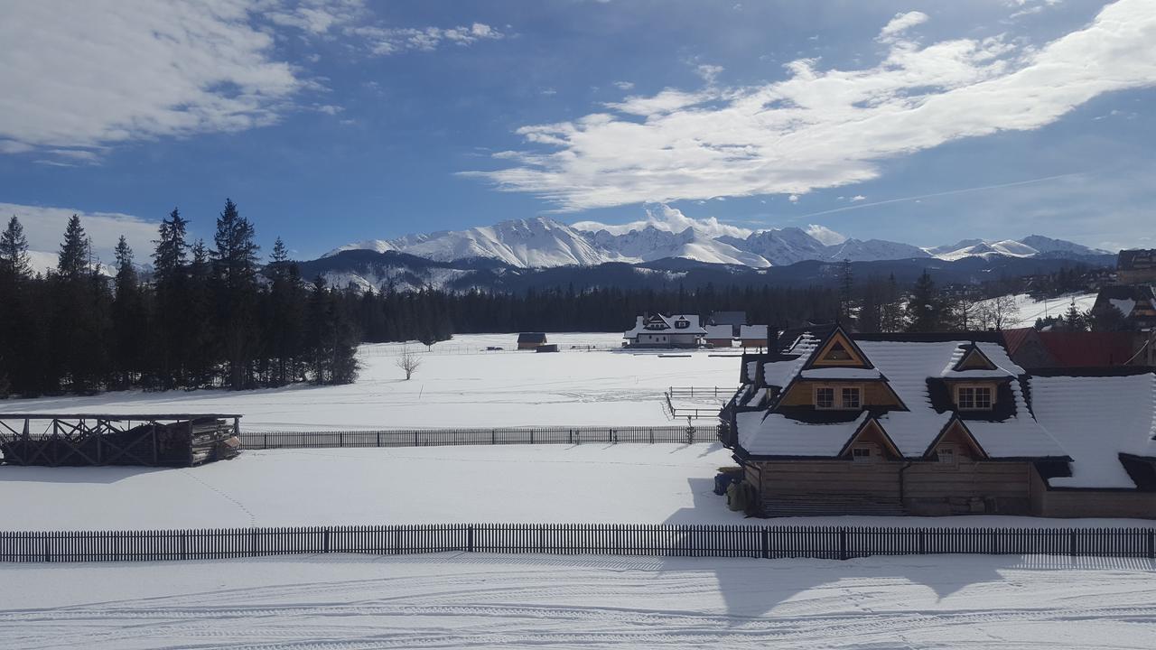 ムジャシフレ Lesne Zacisze Bed & Breakfast エクステリア 写真